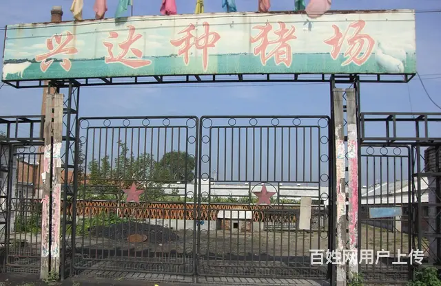 出售厂房 - 图片 2