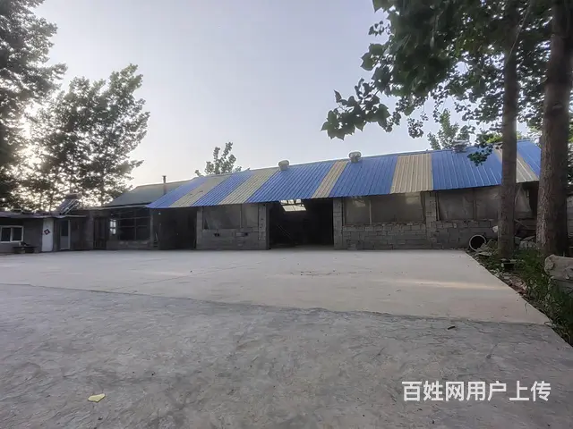 厂房大院子 - 图片 4