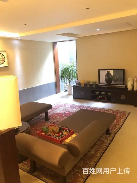 南海宝安江南城独门独院三层别墅地下一层地上两层 - 图片 4