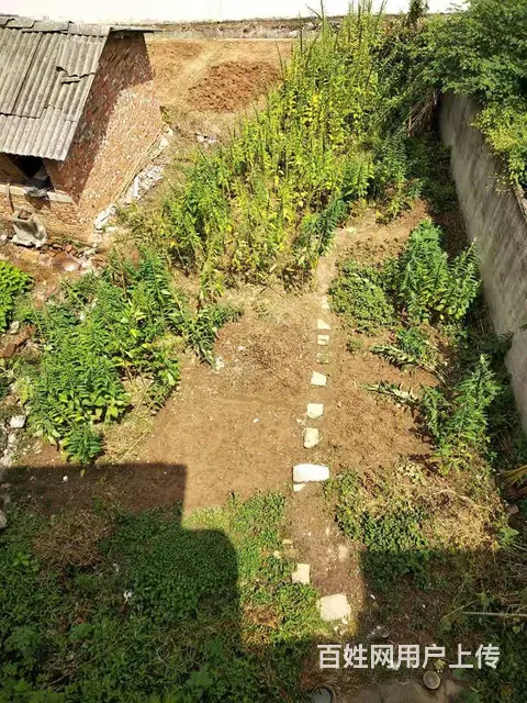 江夏区法泗镇临街3层门面房，普通住宅 简单装修 - 图片 1