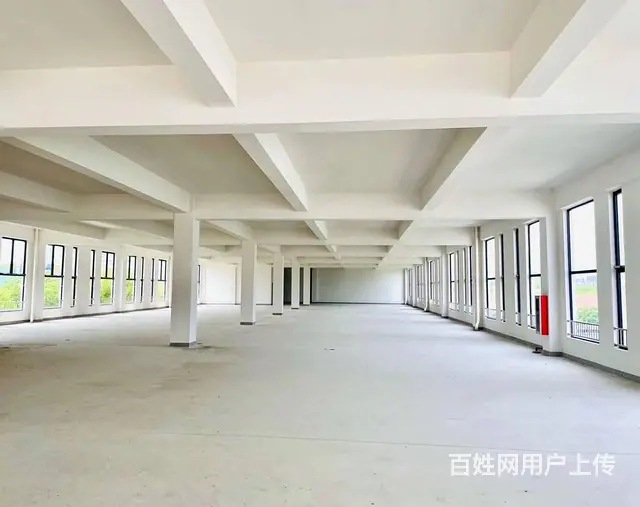 莘庄工业区新建独门独院104地块科创办公生物医药研发，可分租 - 图片 10
