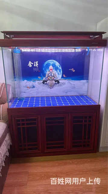 便宜了 - 图片