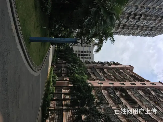 海府路3F2T出租 - 图片 2