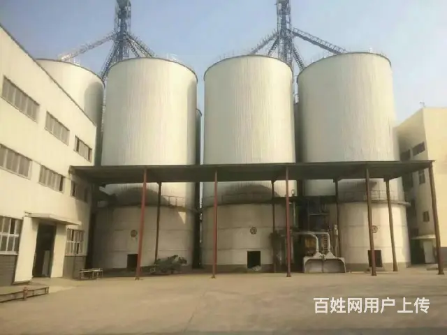 5000吨粮食钢板仓,辽宁3000吨粮食钢板仓 - 图片 1