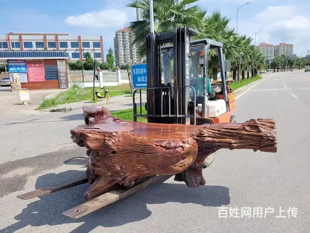 宁远叉车出租 - 图片 7