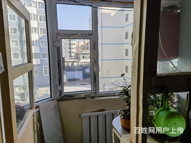 九中二实验双学区 - 图片 3