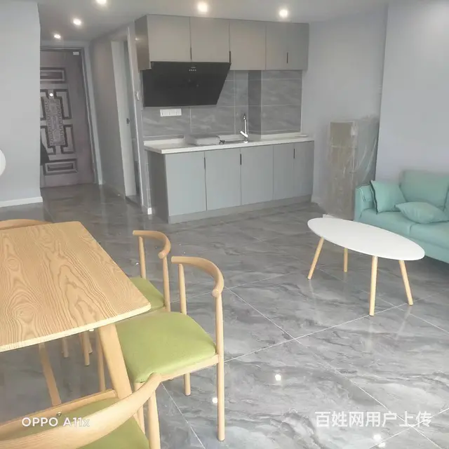越洋国际 公寓2厅 精装修 - 图片 2