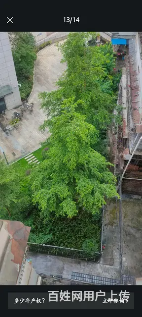 个人自住一手房出售 - 图片 1