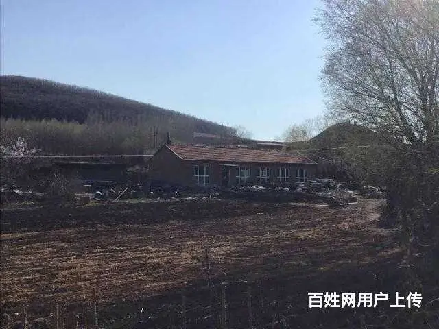 胜利林场鱼塘山庄出售 - 图片 9