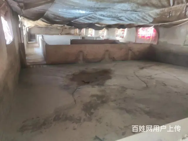 养猪场求租 - 图片 7