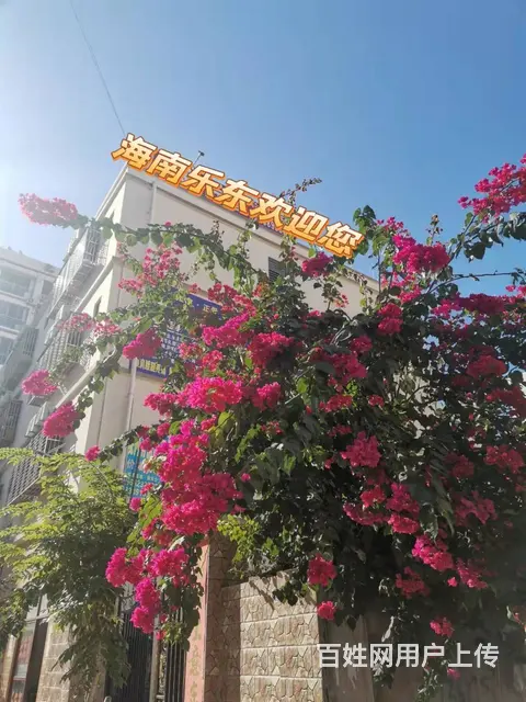 出租海南乐东一房两房 - 图片 1