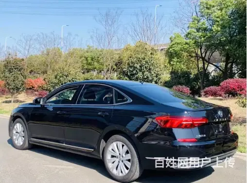 大众 帕萨特 2019款 2.0TSI 双离合 330TSI - 图片 10