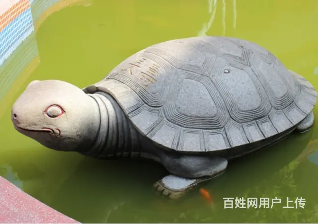 石雕龟#动物雕塑#园林摆件 - 图片 1