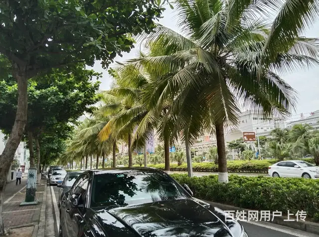 （51旺铺推荐）海甸岛五西路500平独栋别墅民宿+烧烤店转让 - 图片 4