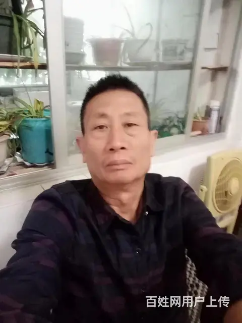 征婚男60岁有退休金5000找胖点女人过日子 - 图片 6