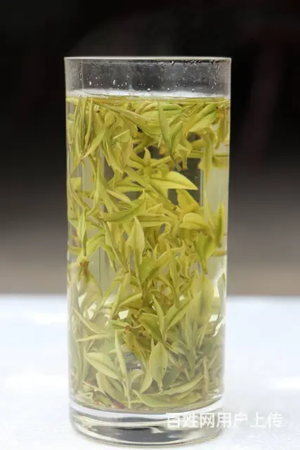 安吉白茶 明前头茶 原产地安吉直销 小戴白茶 - 图片 3