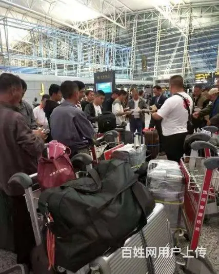 农场招货运司机澳大利亚新西兰正规工签合法务工 - 图片 5