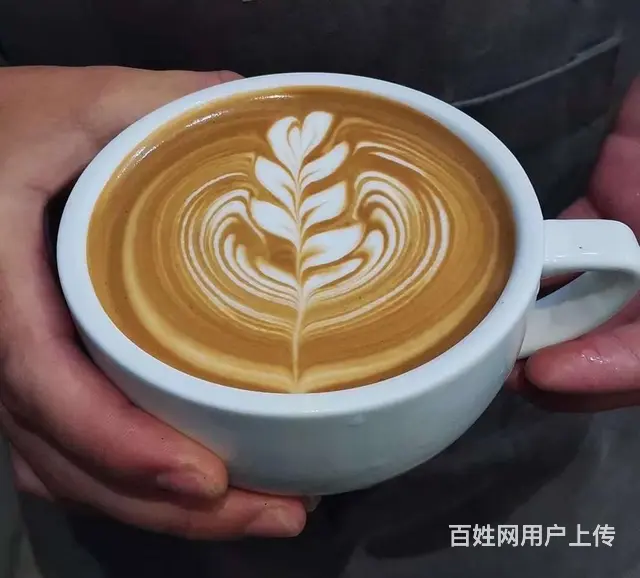 苏州吴中尹中路咖啡师专业培训 - 图片 3