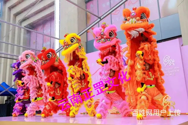云南特色节目、舞蹈定制、礼仪模特、小丑、杂技、舞狮 - 图片 11