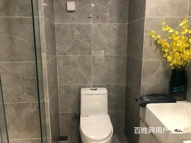 2W送8万装修cBD轻轨旁好出租挑高4.8米复试 - 图片 2