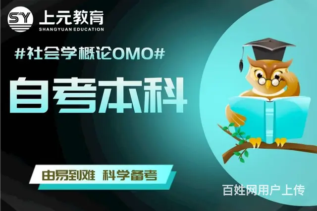 自考学历学费多少钱 海宁零基础自考培训学校 - 图片