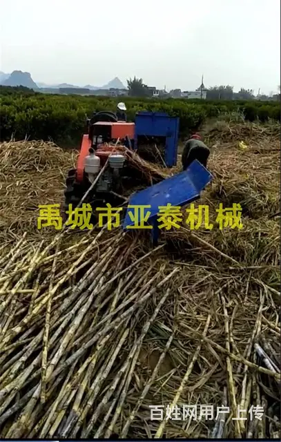 自走式甘蔗剥叶机厂家直销 - 图片 1