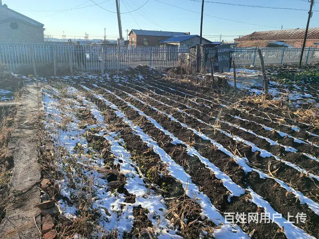 西岗子镇 230 平 15.6 万 1560 平院子 - 图片 3