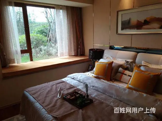 鸿坤理想城再续热销传奇 一出大滁城 就买理想城 - 图片 9