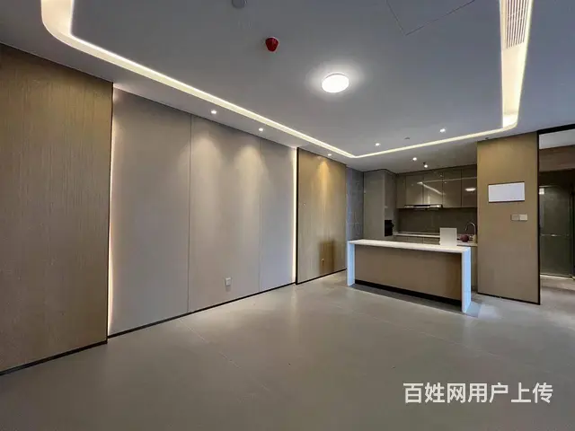 徐家棚 绿地铂瑞公馆2室2卫 巨厅 高层看江 接待 - 图片 9