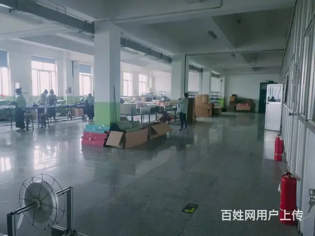 【创美】羊亭曲家河8500平+5600平新厂房出租，可分租 - 图片 8