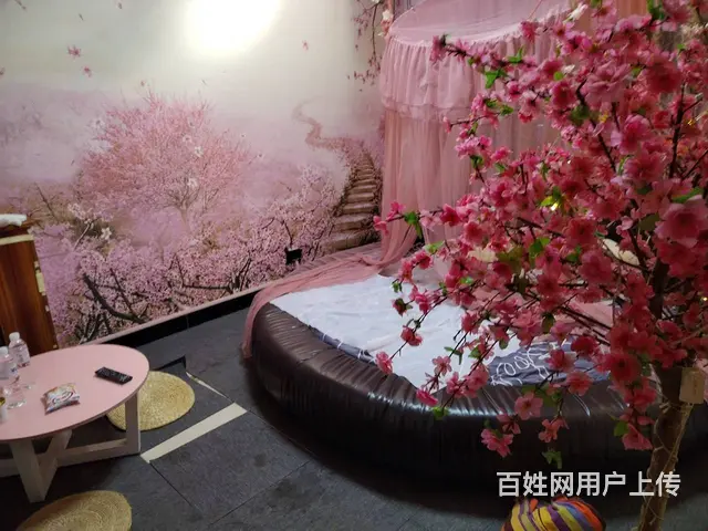 急转：黄金位置私人影院低价转让营业中…… - 图片 10
