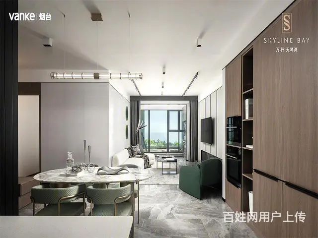 天琴湾，烟台顶壕，一线海岸，品质改善，白菜价上车 - 图片 8