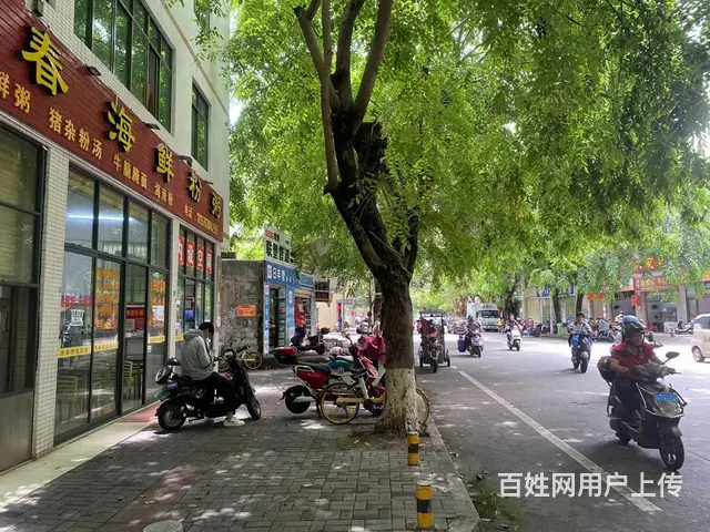 （51旺铺推荐）青年路整栋三层270平房东直租 - 图片 1