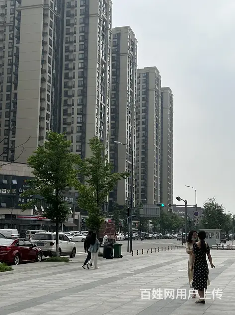 XSY 几十栋高档社区环绕底商旺铺可空转 - 图片 5