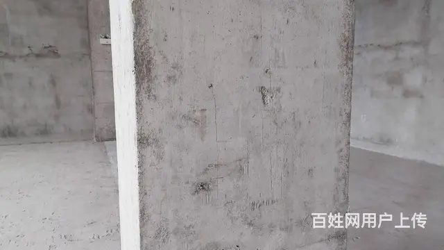 郑陆 智荟港 1200平 8.1米层高 独栋 国土厂房出售 - 图片 10