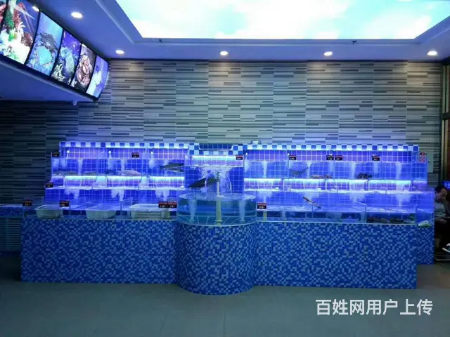 扬州【庆亚】海鲜大闸蟹玻璃鱼缸测量定做安装报价 - 图片 2