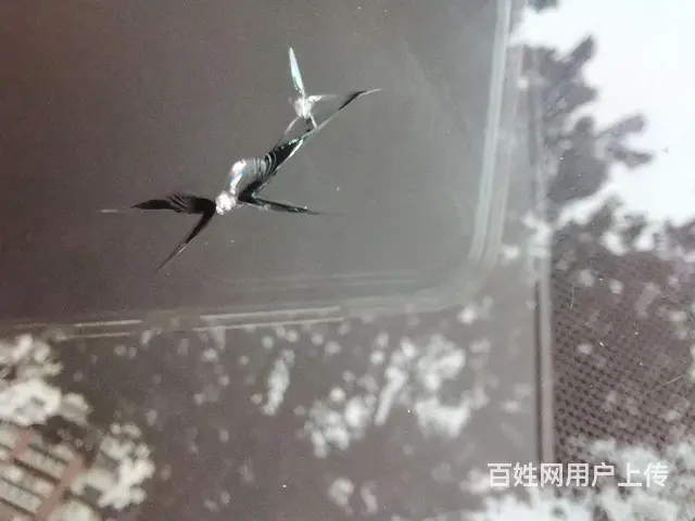 都江堰挡风选择修复需要注意什么 专业的建议 - 图片 3