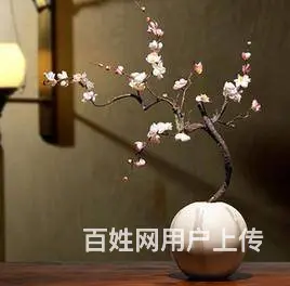 临沂花艺师速成班，怎么收费 - 图片 4