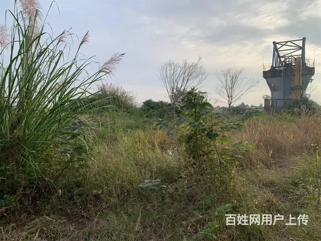 广汉西高镇5亩土地+库房出租 - 图片 9