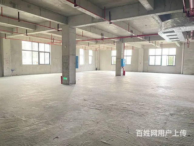 （房东直租）中青路佳海园区775平厂房优价出租，可分租 - 图片 6