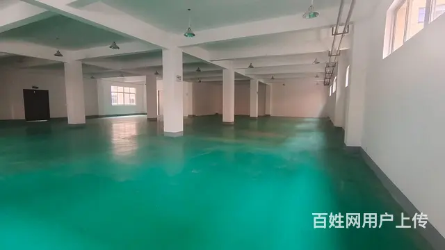 双创人孵化园一楼现有485平及570平一楼（直租非中介） - 图片 2