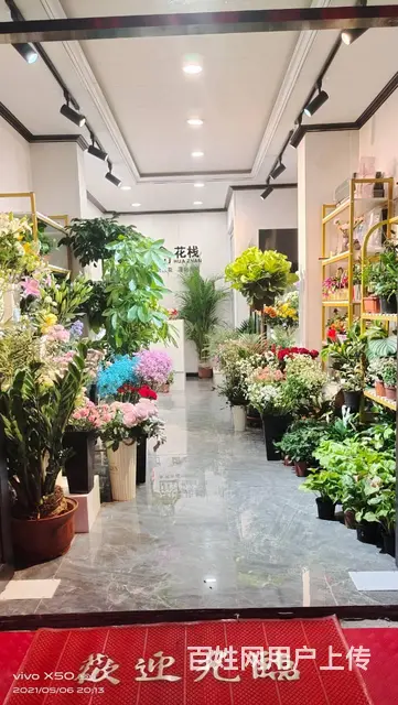 7586（七P）个人城中区莫家街马忠商务宾馆对面花店转让 - 图片 6