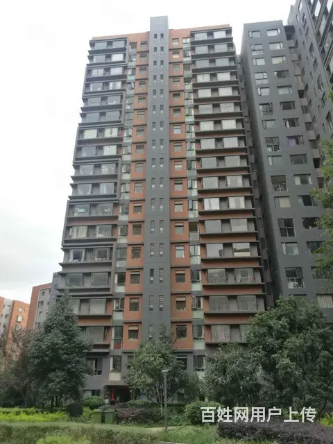 师专附小旁 星云园3房精装修 带家具家电 拎包入住 - 图片 12