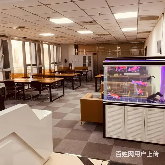 （出租）会展中心对面长江路与泰山路交口700米可分租大厦写字 - 图片 4
