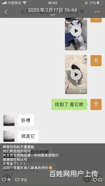 苏州猫咪丢了怎么找 专业找猫寻狗团队来帮你 - 图片 7