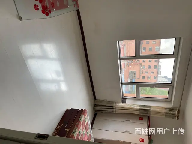 诚心买研究非诚勿扰 - 图片 4