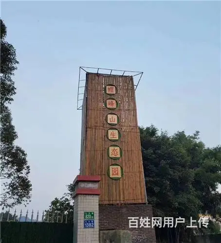 广州黄埔公司户外团建拓展朋友聚会休闲一日游 - 图片