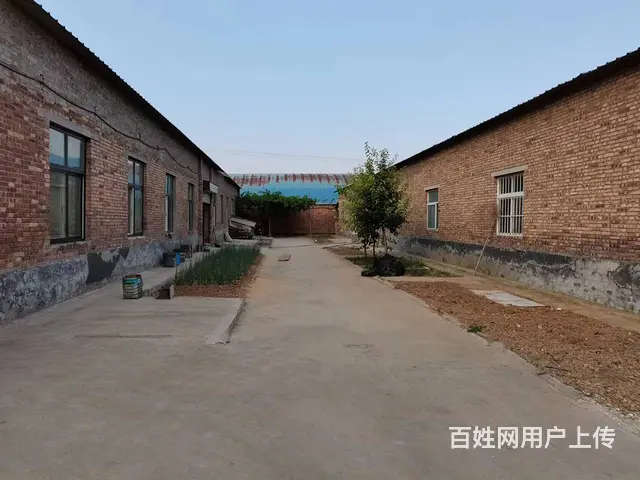 仓库出租 助您成功 - 图片 3