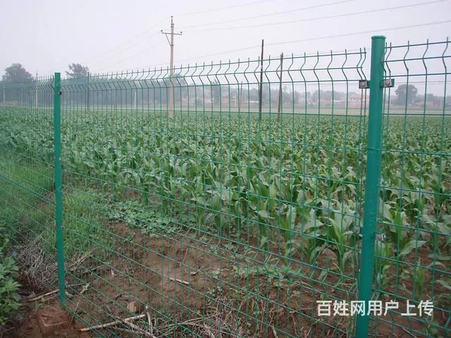 高速服务区低碳钢丝围栏 厂区铁丝隔离护栏网 - 图片 5