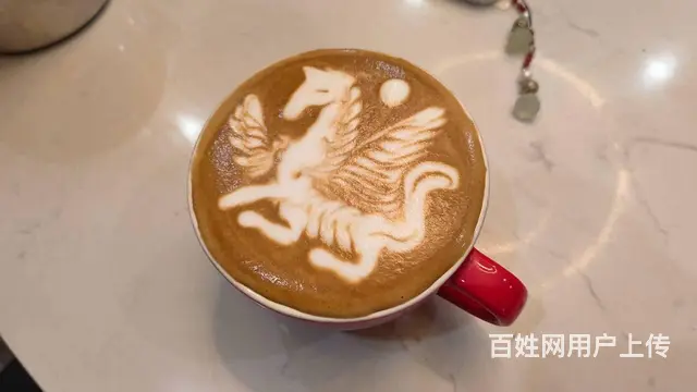 12月咖啡师新班开课符合条件免费学习拿证 - 图片 2